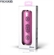Loa Microlab D21 11